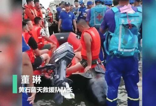 河南救援的网红是真的吗,河南救援网红身份之谜揭晓