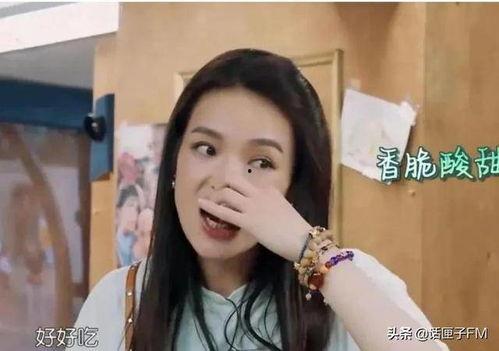 明星宣传吃素央视解说,央视解说揭示健康饮食新风尚