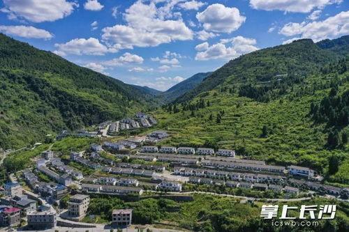 龙山县坪溪新闻头条,重大事件引发广泛关注