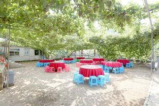 燕郊网红农家院出租,体验田园风光，尽享出租乐趣