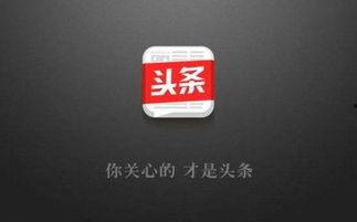 今日头条青苔图片,自然界的绿色奇迹