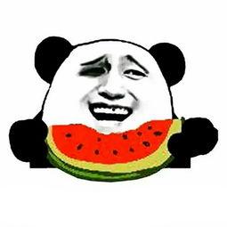 西音表白墙吃瓜,一场校园瓜田的甜蜜风暴