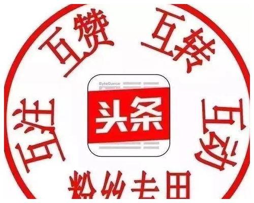头条粉丝培养13天,揭秘高效涨粉秘诀