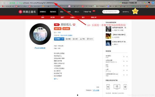 头条如何只上传音乐文章,轻松上传，即刻分享你的音乐故事