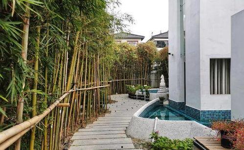 江门网红民宿入住,体验诗意栖息，邂逅美好时光