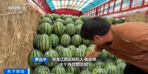 吃瓜互娱昆山,昆山娱乐新风尚