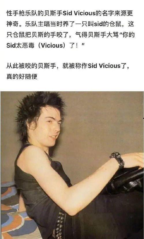 明星艺名碰瓷,揭秘娱乐圈“碰瓷”背后的真相