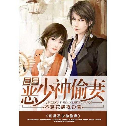 明星是神偷小说