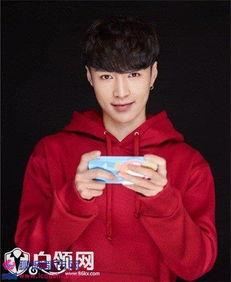 日本男明星绵羊,揭秘日本男星绵羊的多面人生