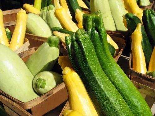 我今天吃瓜了吃的什么瓜,揭秘我吃过的那些新鲜“瓜”