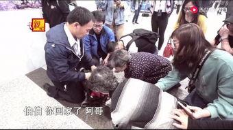 头条寻亲记,跨越时空的亲情接力