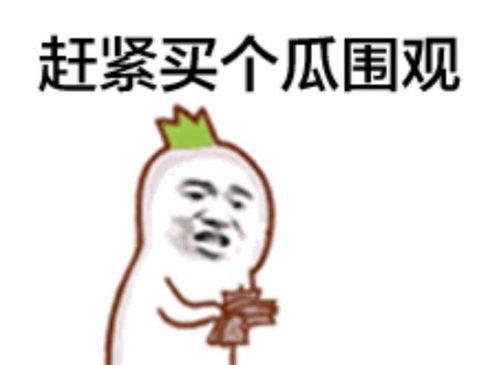 吃瓜群众专用bgm,揭秘吃瓜群众专用bgm背后的故事