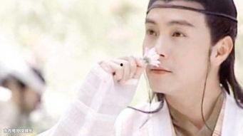 叫麻衣的明星,星光璀璨的影视界璀璨之星