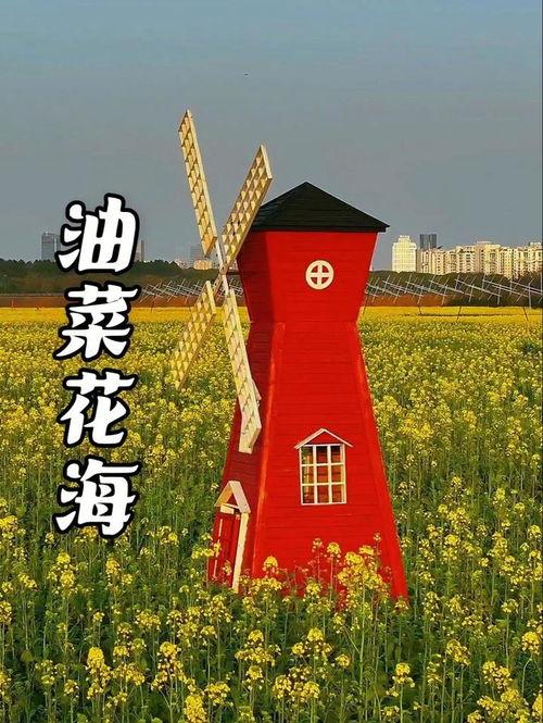 春天旅行头条文案,探寻花开盛景，畅游诗意风光