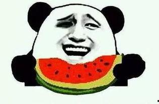 吃感情的瓜,娱乐圈感情瓜的甜蜜与苦涩