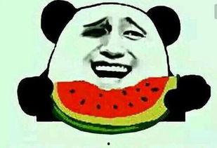 吃瓜蒙主什么来历,揭秘网络流行语的诞生与传播