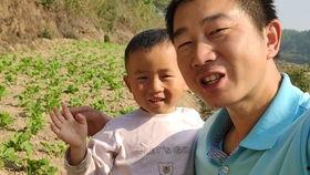 网红大树哥播放低,音乐之旅即将启程